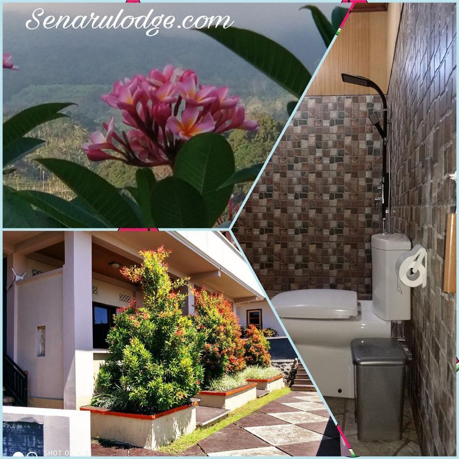 Dragonfly Senaru Lodge ภายนอก รูปภาพ